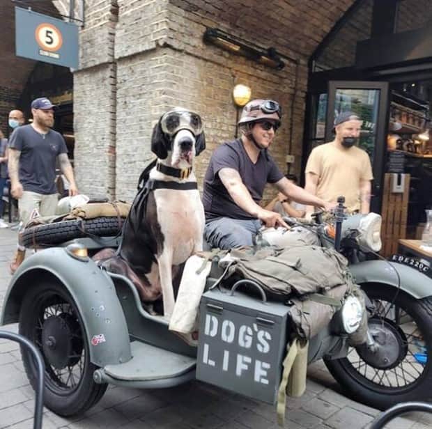 amusing animals and pets 6 Get Ready for Funny Animals #409 (20 photos)