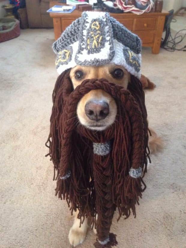 amusing animals and pets 8 Get Ready for Funny Animals #409 (20 photos)