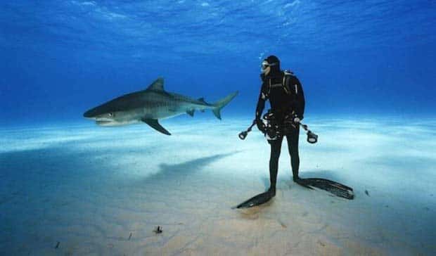 awesome photos 16 Awesome Pictures You Shouldn’t Miss #174 (22 photos)