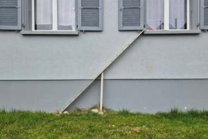 Swiss Cat Ladders for Feline Freedom (22 photos)