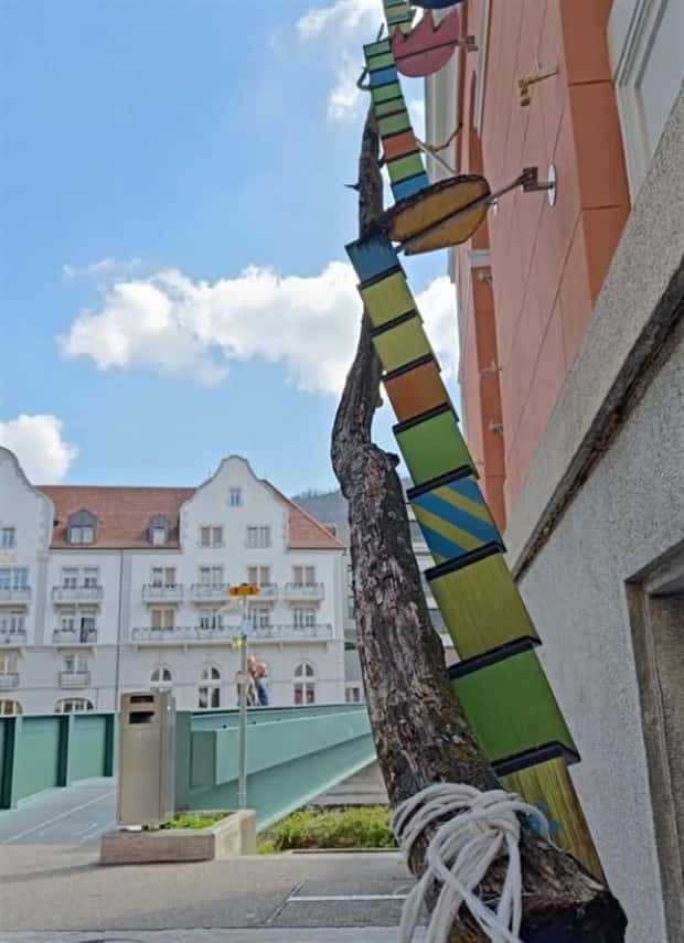 cat ladders in switzerland 10 Swiss Cat Ladders for Feline Freedom (22 photos)