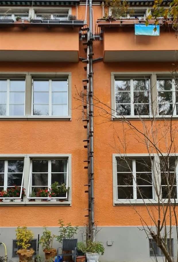 cat ladders in switzerland 11 Swiss Cat Ladders for Feline Freedom (22 photos)