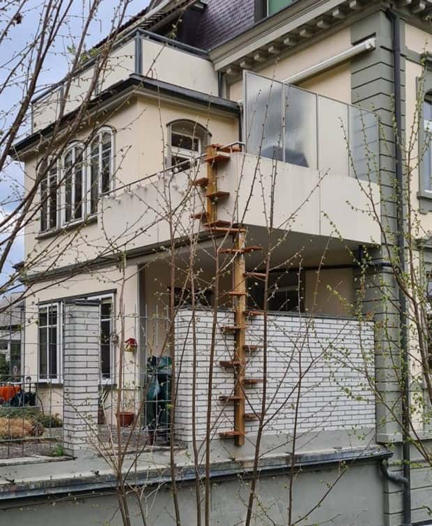 cat ladders in switzerland 13 Swiss Cat Ladders for Feline Freedom (22 photos)