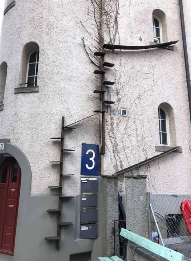 cat ladders in switzerland 14 Swiss Cat Ladders for Feline Freedom (22 photos)