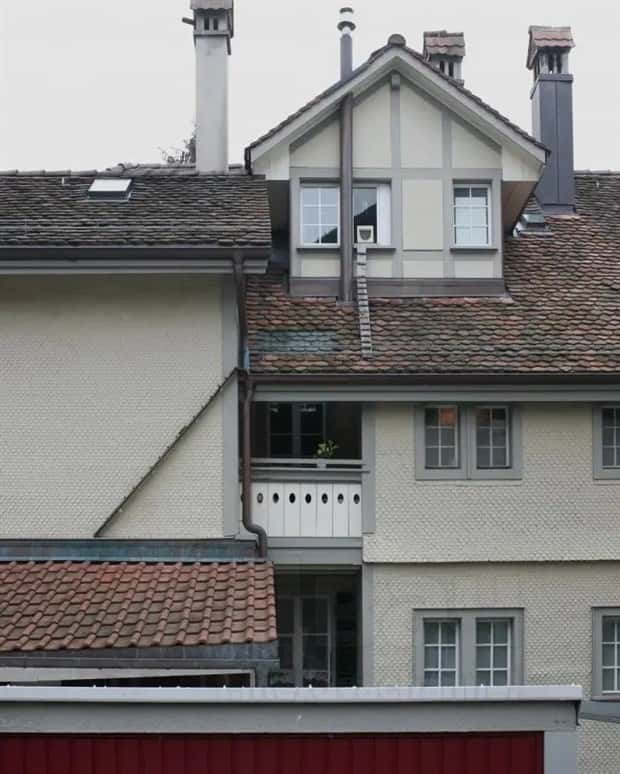 cat ladders in switzerland 15 Swiss Cat Ladders for Feline Freedom (22 photos)