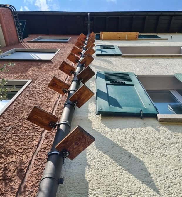 cat ladders in switzerland 2 Swiss Cat Ladders for Feline Freedom (22 photos)