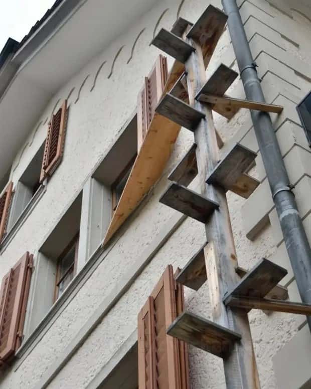 cat ladders in switzerland 20 Swiss Cat Ladders for Feline Freedom (22 photos)