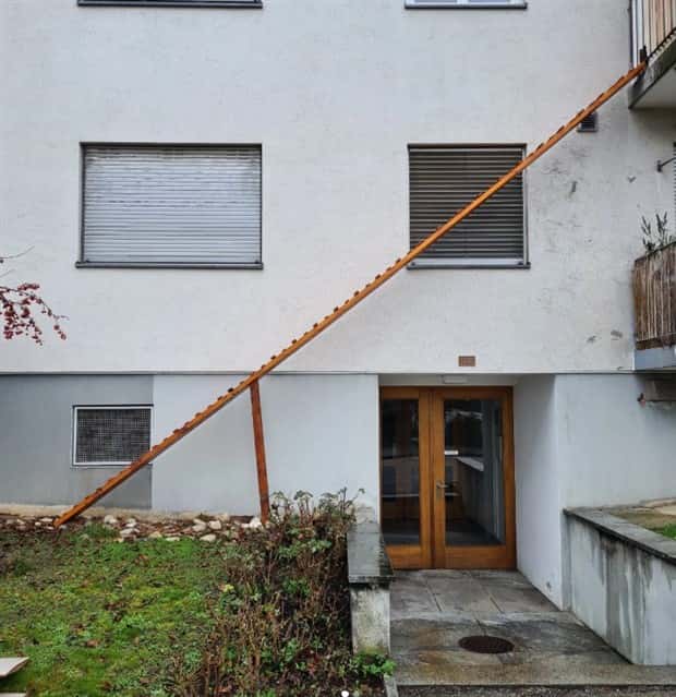 cat ladders in switzerland 3 Swiss Cat Ladders for Feline Freedom (22 photos)