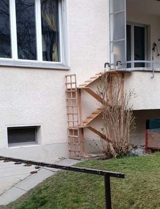 cat ladders in switzerland 8 Swiss Cat Ladders for Feline Freedom (22 photos)