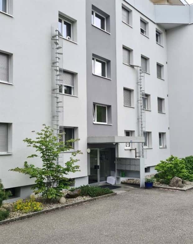 cat ladders in switzerland 9 Swiss Cat Ladders for Feline Freedom (22 photos)