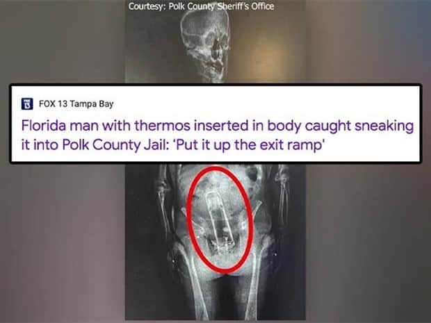 crazy florida headlines 4 Crazy Headlines Only Florida Could Produce (20 photos)