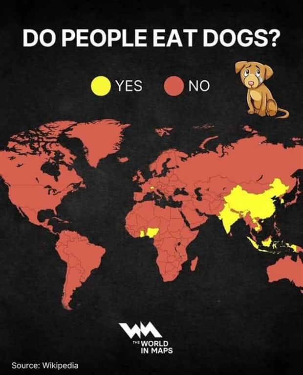 Charts and Maps with Intriguing Data #176 (24 photos)