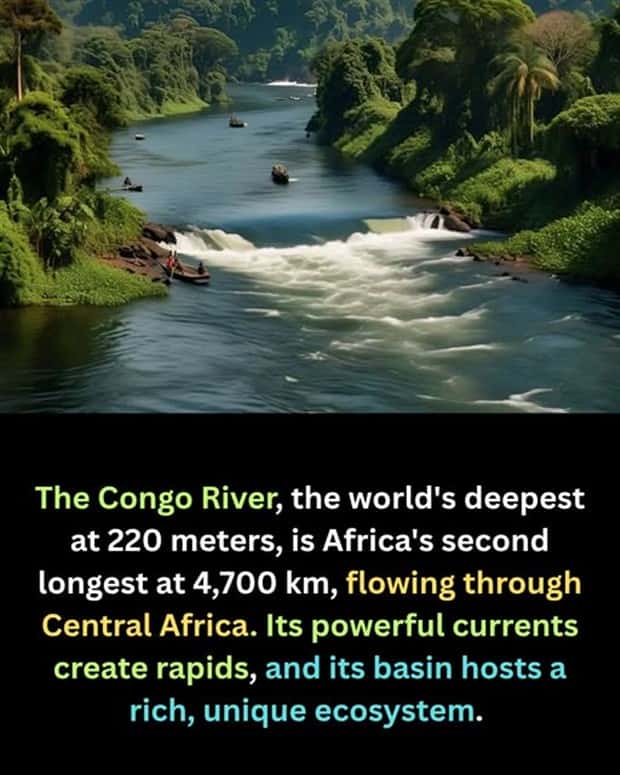 Cool and Interesting Facts #451 (21 photos)