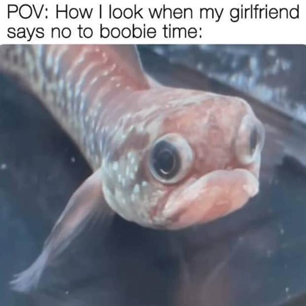 funny memes 16 1 Funny Pics and Memes to Make You Laugh #179 (19 photos)