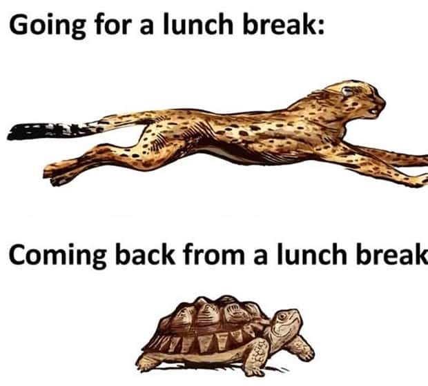 Funny Pics and Memes to Make You Laugh #175 (21 photos)