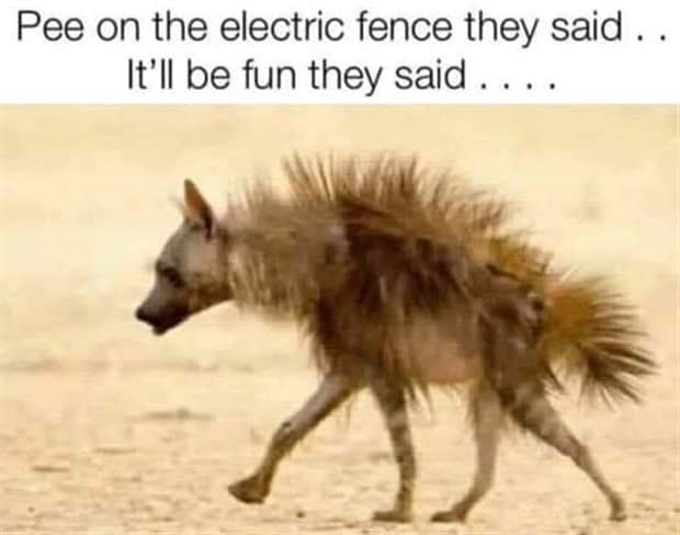 funny memes and pics 10 2 Funny Pics and Memes to Make You Laugh #178 (23 photos)