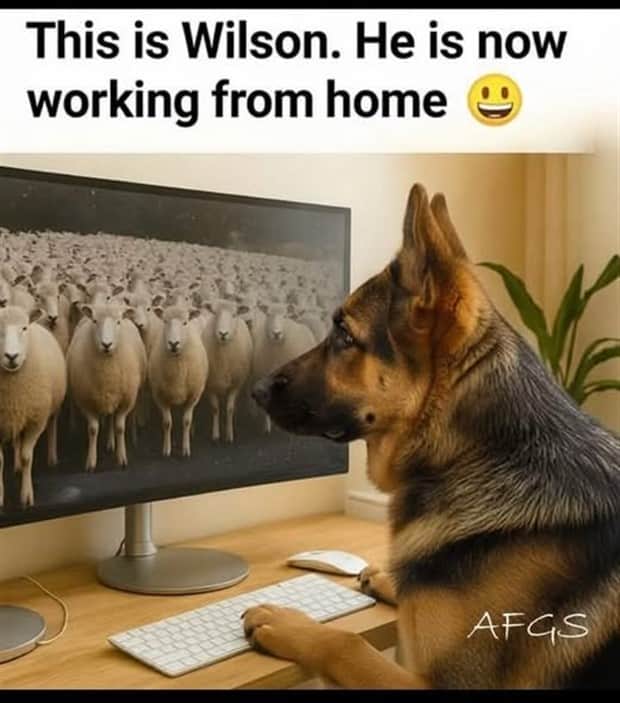 funny memes and pics 14 2 Funny Pics and Memes to Make You Laugh #178 (23 photos)