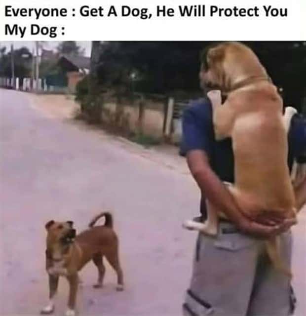 funny memes and pics 14 Funny Pics and Memes to Make You Laugh #176 (20 photos)