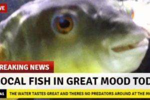 Funny Pics and Memes to Make You Laugh #176 (20 photos)