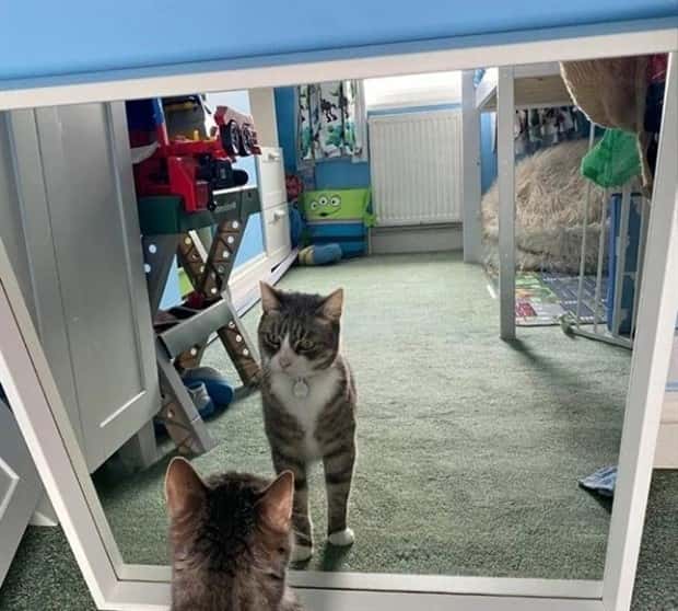 Mirror Selfie Fails That Reflect Chaos (18 photos)