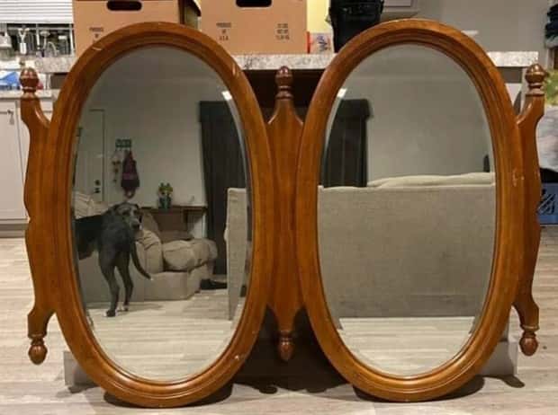 Mirror Selfie Fails That Reflect Chaos (18 photos)