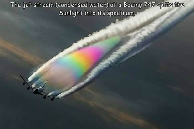 interesting captions 21 1 Interesting Pictures with Captions #178 (23 photos)
