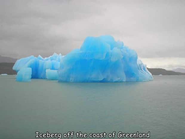 interesting captions 4 Interesting Pictures with Captions #176 (21 photos)