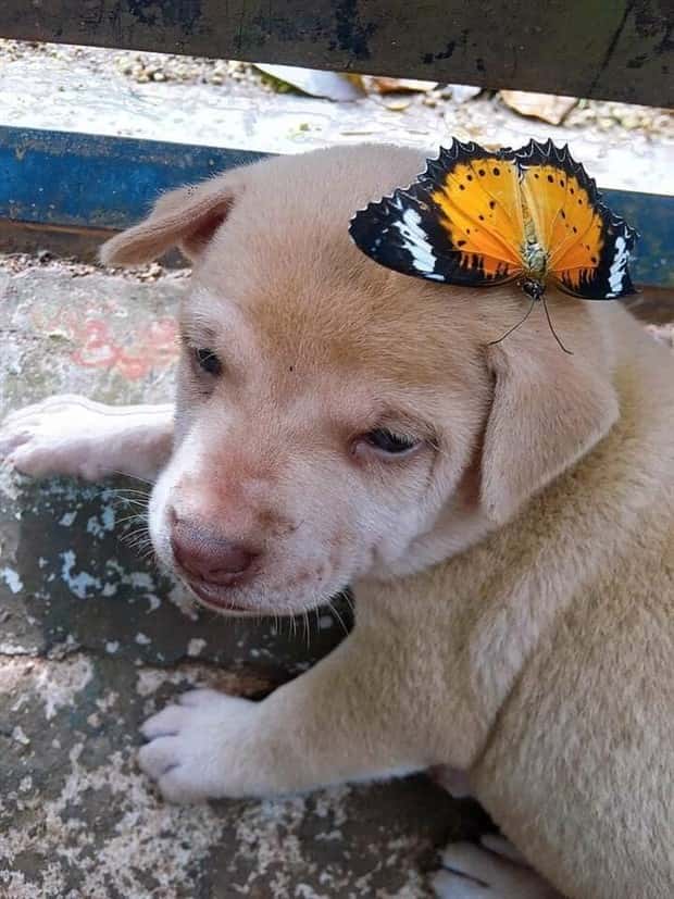 Klyker Picdump #1823 (43 photos)