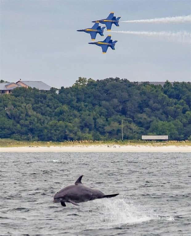 Klyker Picdump #1823 (43 photos)