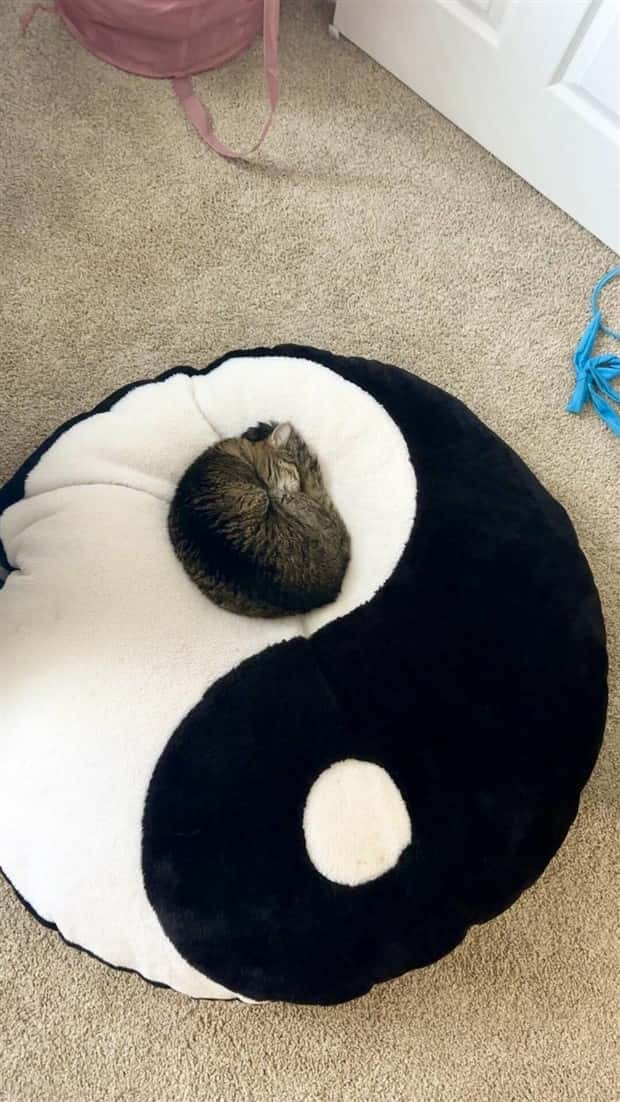 Klyker Picdump #1823 (43 photos)