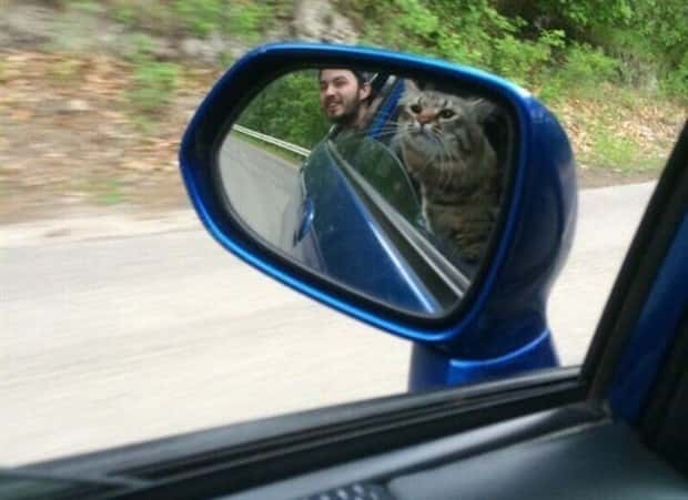 Klyker Picdump #1830 (45 photos)