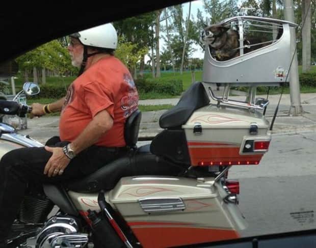 klyker picdump 10 13 2025 18 1 Klyker Picdump #1839 (44 photos)