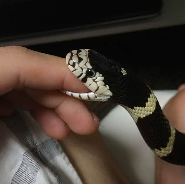 klyker picdump 10 16 2025 33 Klyker Picdump #1834 (44 photos)