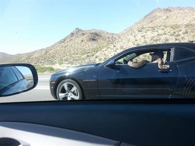 klyker picdump 10 16 2025 37 Klyker Picdump #1834 (44 photos)