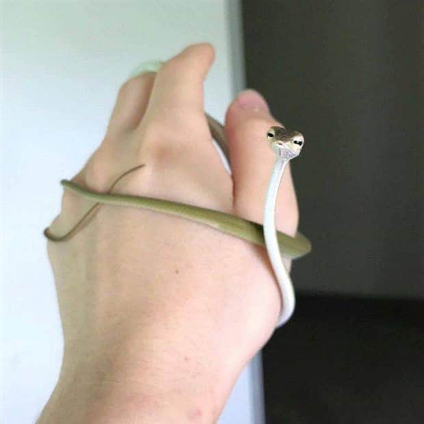 klyker picdump 10 16 2025 41 Klyker Picdump #1834 (44 photos)