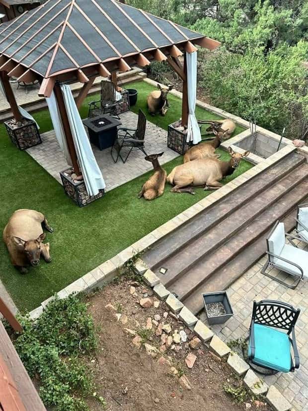 Klyker Picdump #1824 (44 photos)