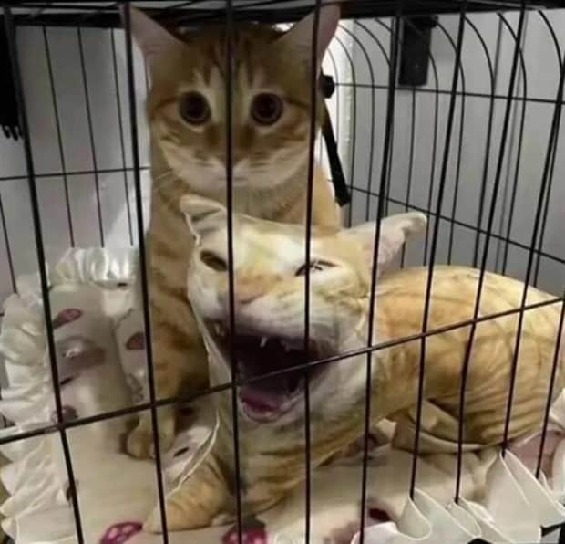 Klyker Picdump #1843 (43 photos)