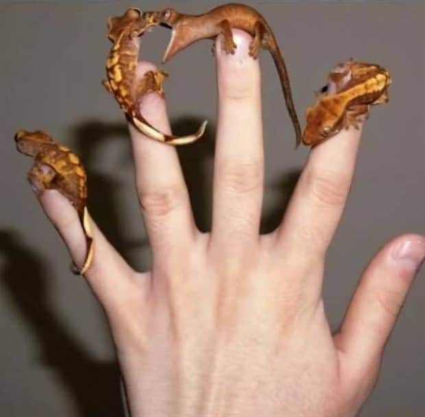 Klyker Picdump #1843 (43 photos)