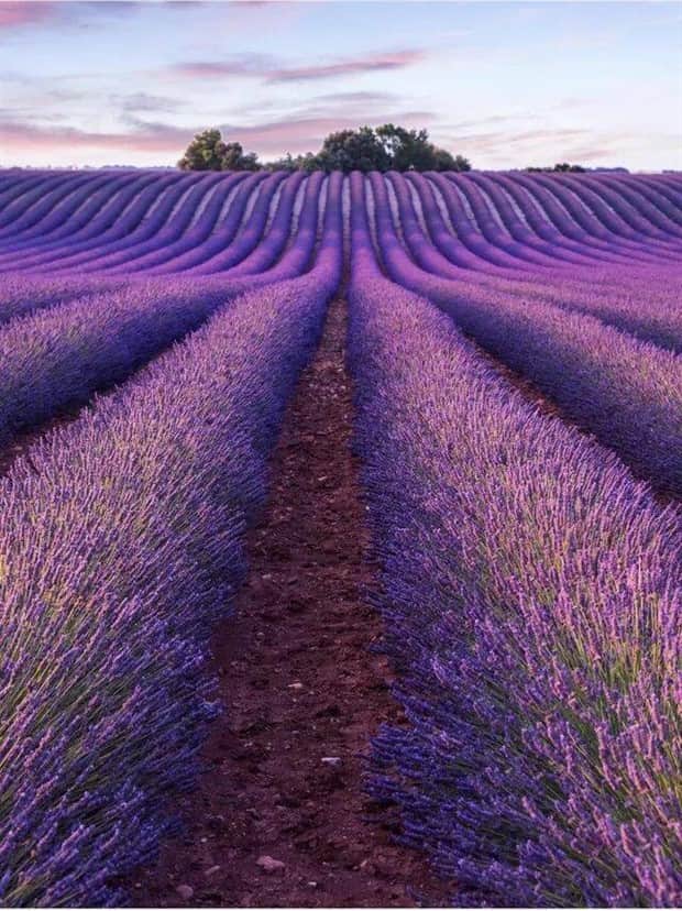 Klyker Picdump #1843 (43 photos)