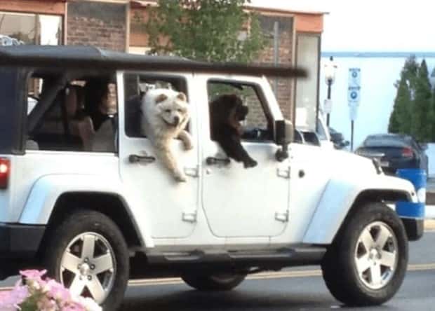 Klyker Picdump #1825 (45 photos)
