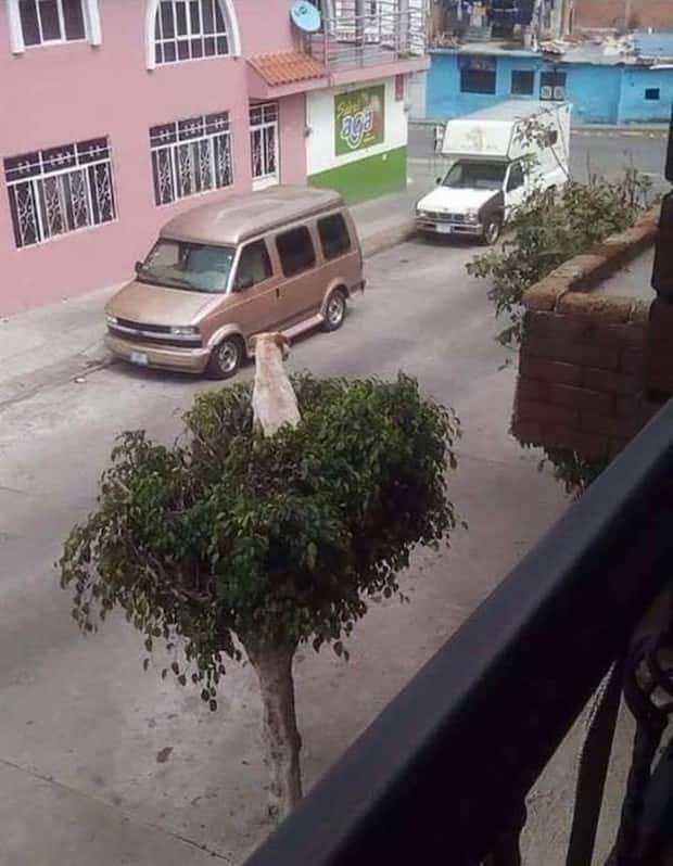Klyker Picdump #1825 (45 photos)