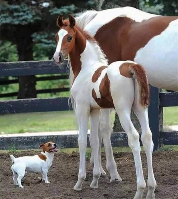 klyker picdump 10 30 2025 19 Klyker Picdump #1844 (44 photos)