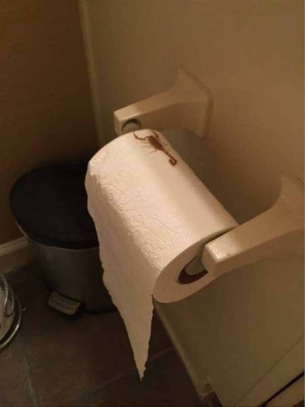 klyker picdump 10 30 2025 29 Klyker Picdump #1844 (44 photos)