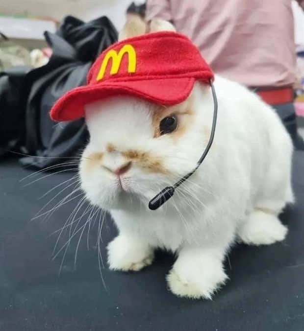 klyker picdump 10 30 2025 38 Klyker Picdump #1844 (44 photos)