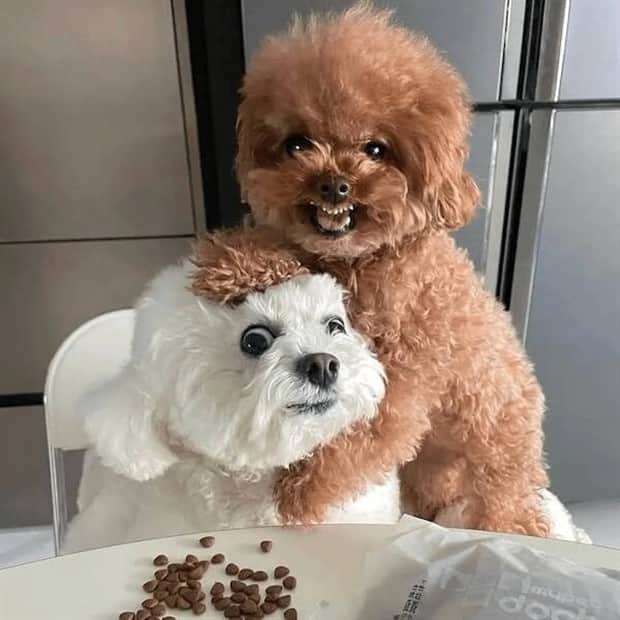 klyker picdump 10 30 2025 44 Klyker Picdump #1844 (44 photos)