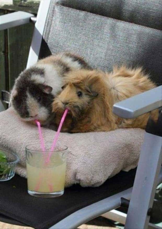 Klyker Picdump #1826 (41 photos)