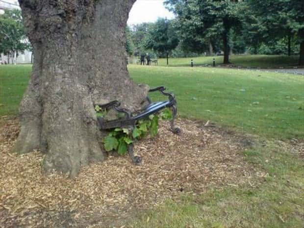 Klyker Picdump #1826 (41 photos)