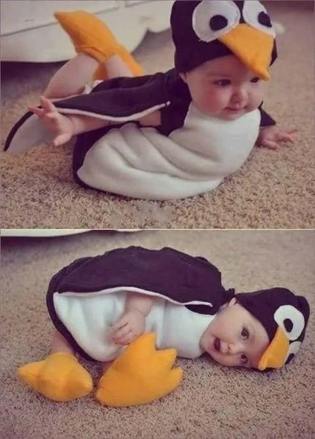 Klyker Picdump #1827 (42 photos)