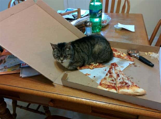 Klyker Picdump #1829 (44 photos)