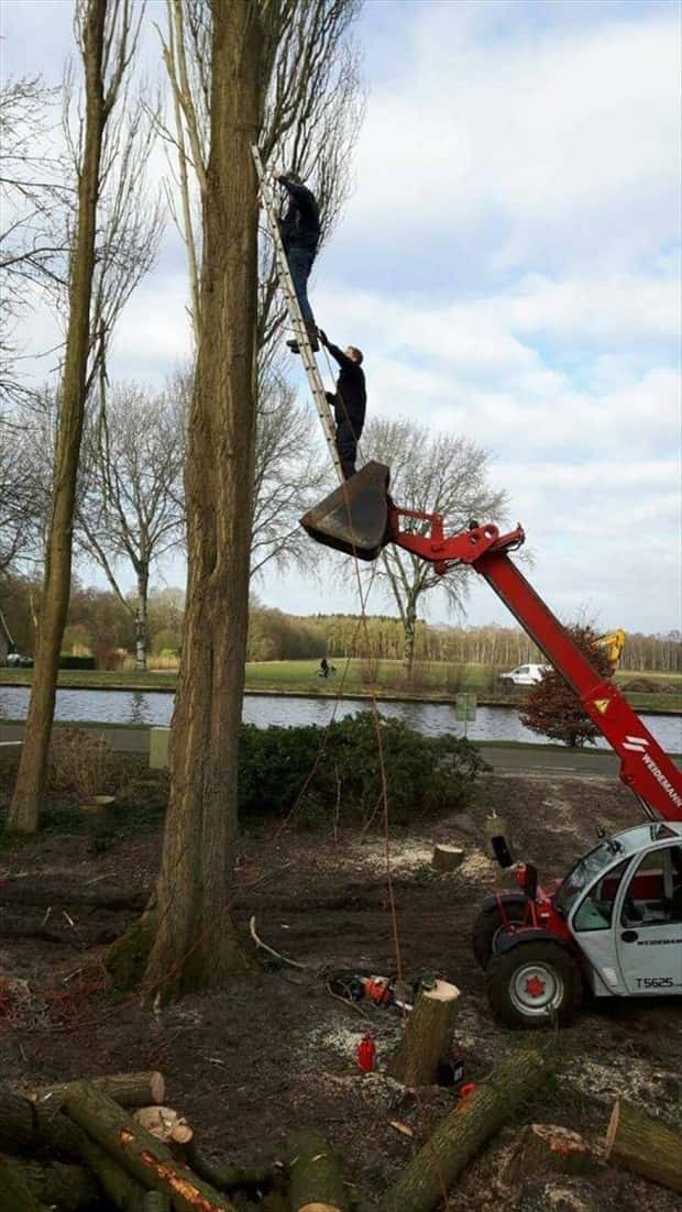 Klyker Picdump #1829 (44 photos)